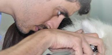 Visuel Xavier Ozouf